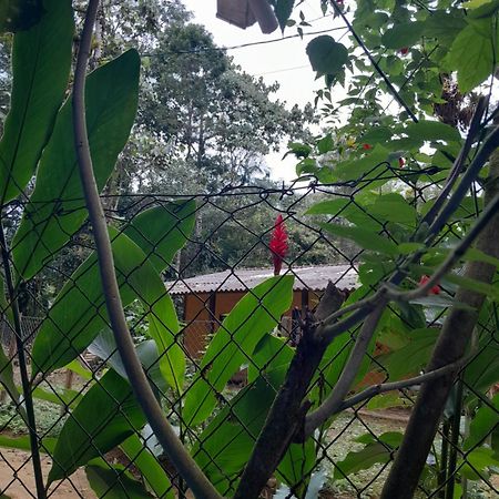 Sitio Das Bromelias Cachoeira Do Tombador Ubatuba Buitenkant foto