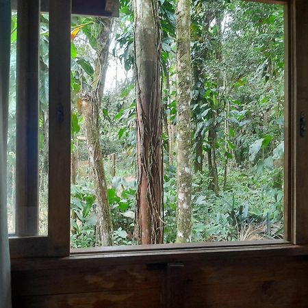 Sitio Das Bromelias Cachoeira Do Tombador Ubatuba Buitenkant foto