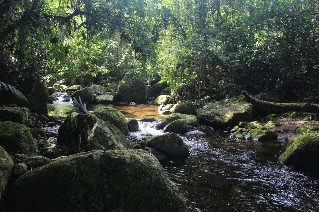 Sitio Das Bromelias Cachoeira Do Tombador Ubatuba Buitenkant foto