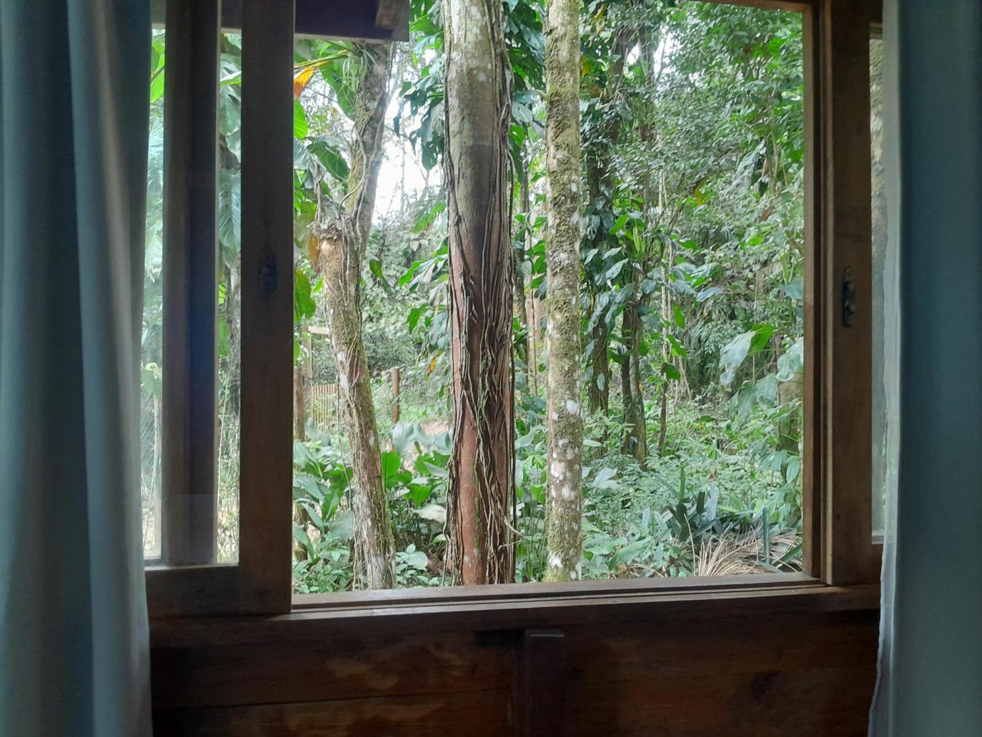 Sitio Das Bromelias Cachoeira Do Tombador Ubatuba Buitenkant foto
